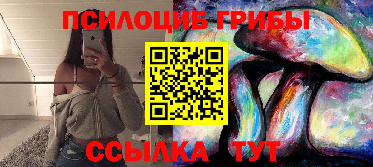 Галлюциногенные грибы Psilocybine cubensis  Вход с VPN  Воткинск  Галлюциногенные грибы GOLDEN TEACHER 